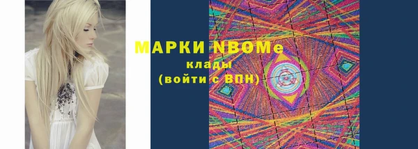 крисы Ростов