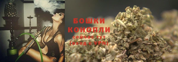 крисы Ростов