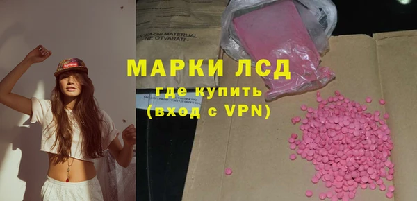 крисы Ростов
