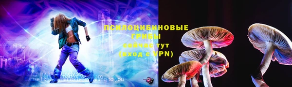 ПСИЛОЦИБИНОВЫЕ ГРИБЫ Рославль