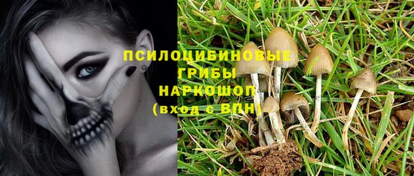 крисы Ростов
