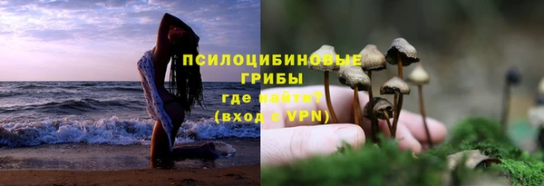 ПСИЛОЦИБИНОВЫЕ ГРИБЫ Рославль