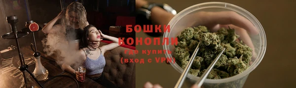 крисы Ростов