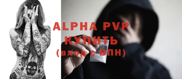 ПСИЛОЦИБИНОВЫЕ ГРИБЫ Рославль
