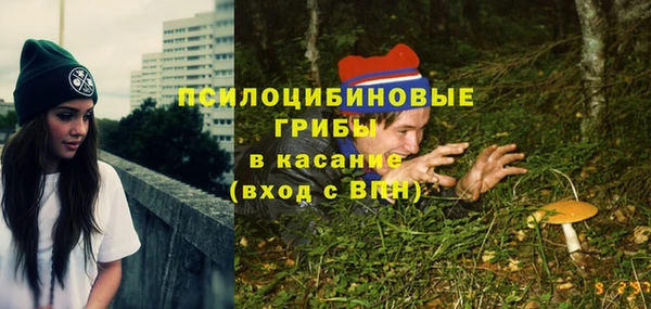 ПСИЛОЦИБИНОВЫЕ ГРИБЫ Рославль