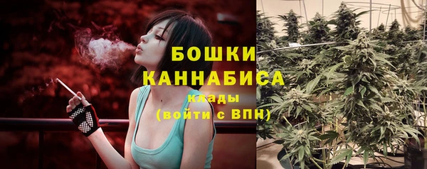 крисы Ростов