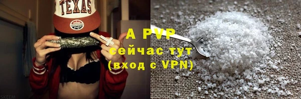 ПСИЛОЦИБИНОВЫЕ ГРИБЫ Рославль